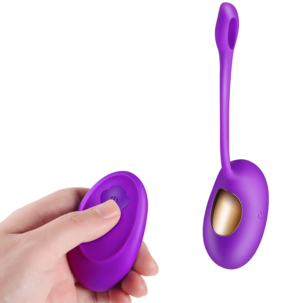 Remote Control Vibrating Love Egg Wireless Powerful Bullet G Spot Vibrator, USB Rechargeable Waterproof Adult Sex Toy