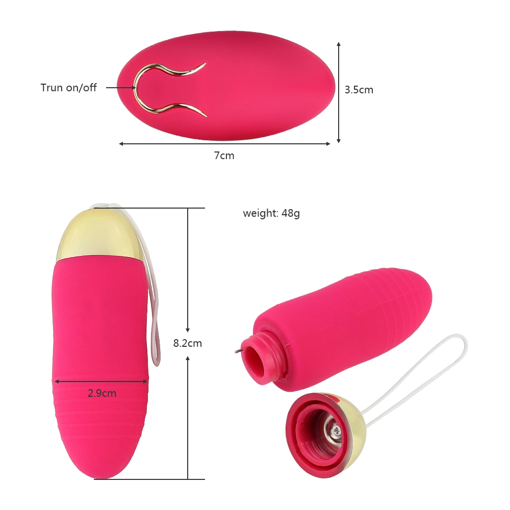 Factory Silicone USB Charging Vagina Clitoral Remote Control Vibrator Egg Sex Love Toy for Women